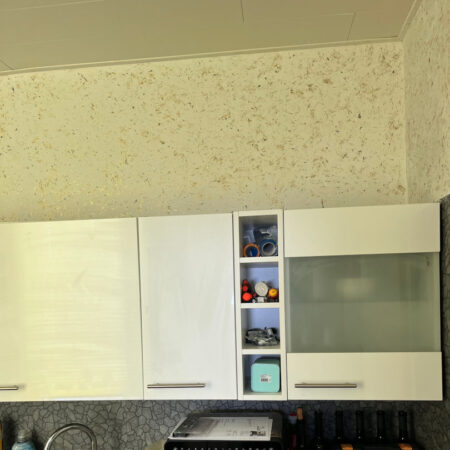 San Deco Galaxy in einer Küche Spachteltechnik Bad Malente